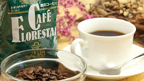 無農薬無化学肥料で栽培した『森のコーヒー』